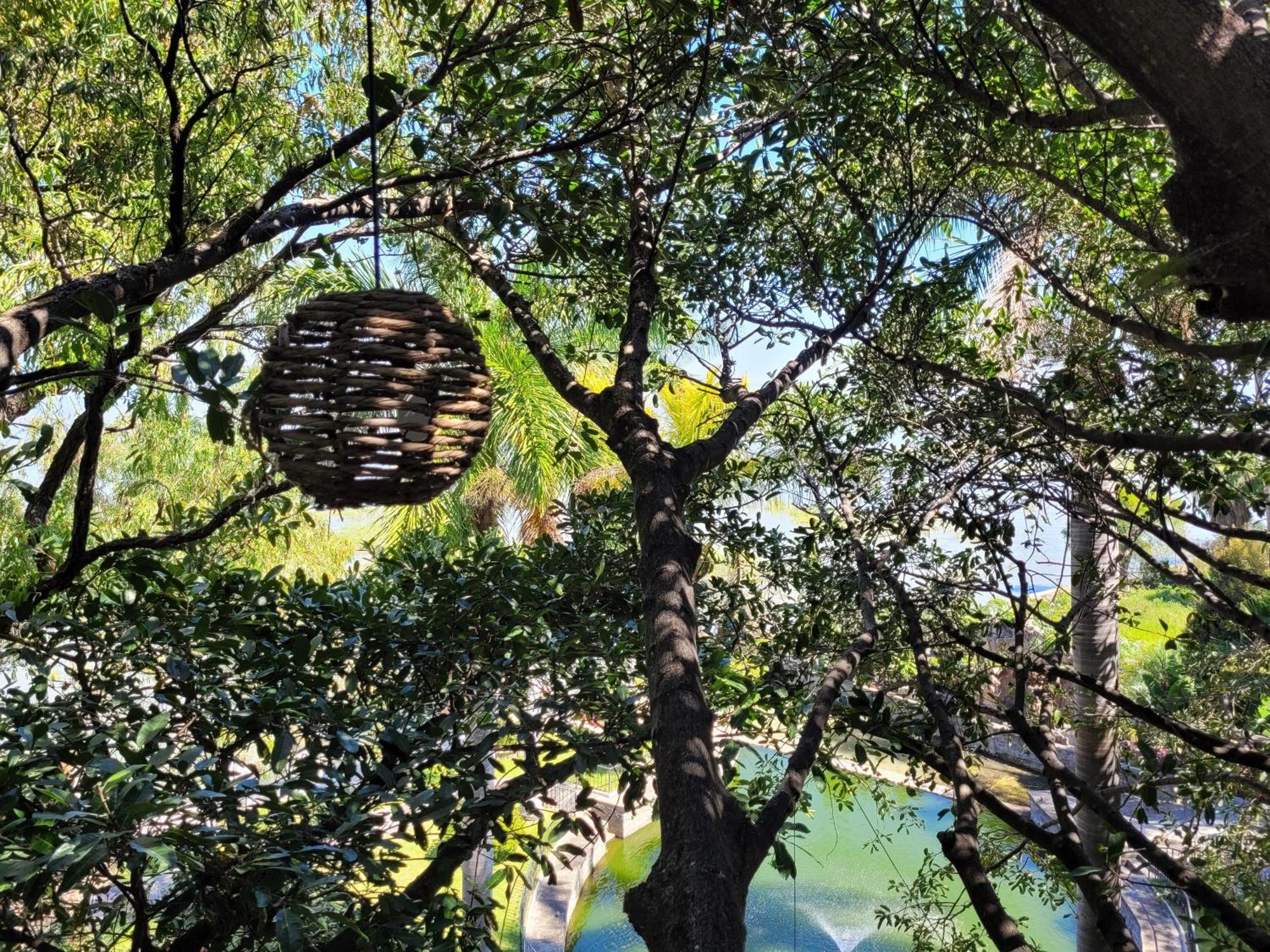 Nido Ecoluxury - Villa San Luis Boutique San Luis Soyatlán 외부 사진